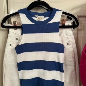Sundry Blue and White Striped Tank Top